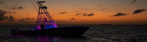 Invincible Boats: mono-hull for sale with custom lighting for offshore fishing & more.